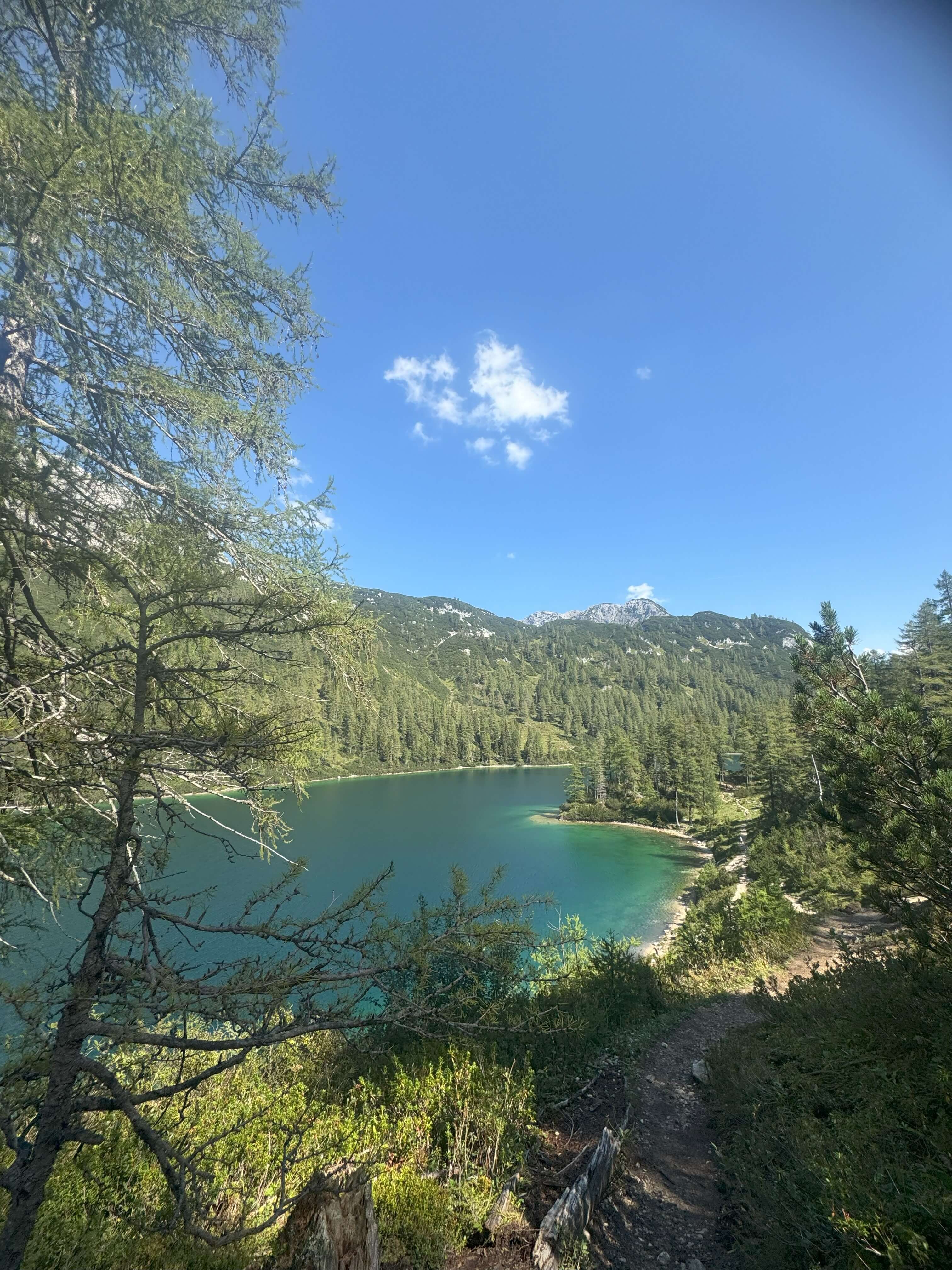 Fotografie z koláže 15