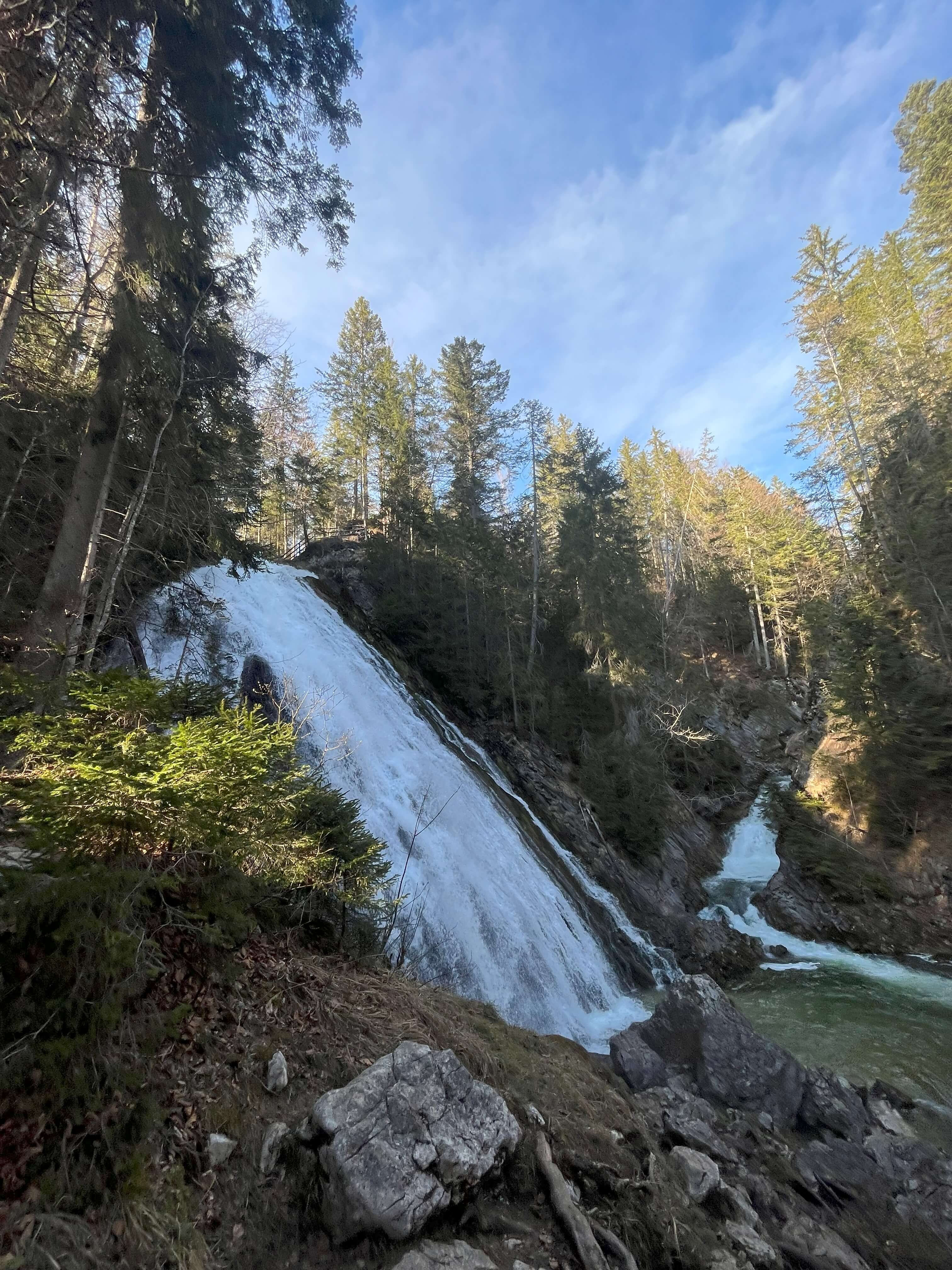 Fotografie z koláže 18